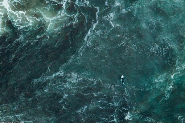 高考体育四项保录培训靠谱吗(图1)